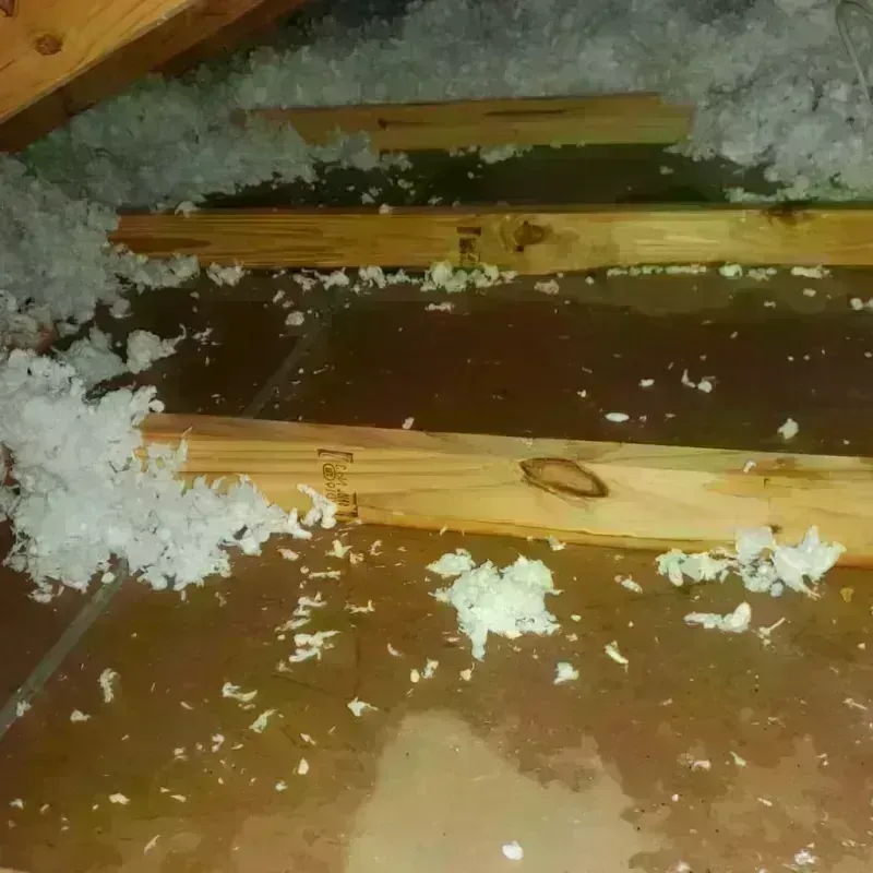 Attic Water Damage in Royalton, MN